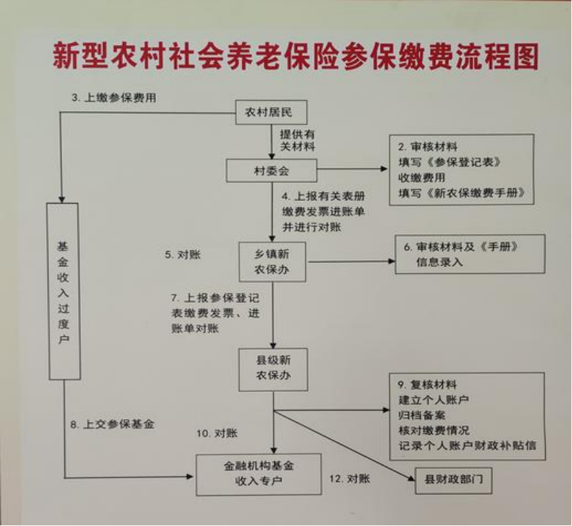 莱芜农村医保和社保有什么区别(农村医保跟社保的区别)
