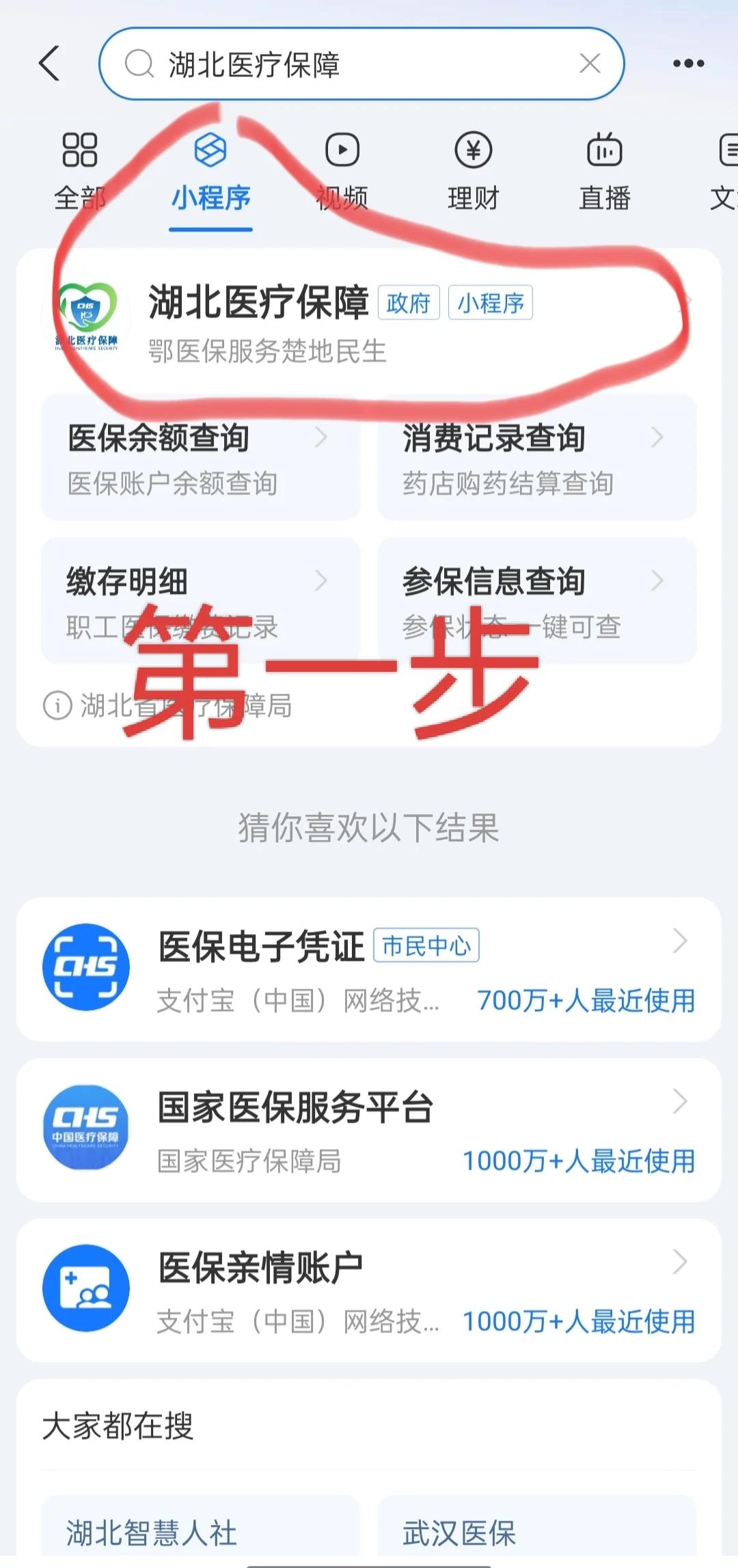 莱芜医保网上怎么缴费(孩子居民医保网上怎么缴费)